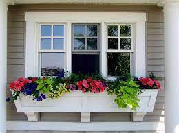 window with a flower box